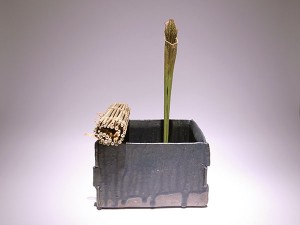 はしもと　まこと15