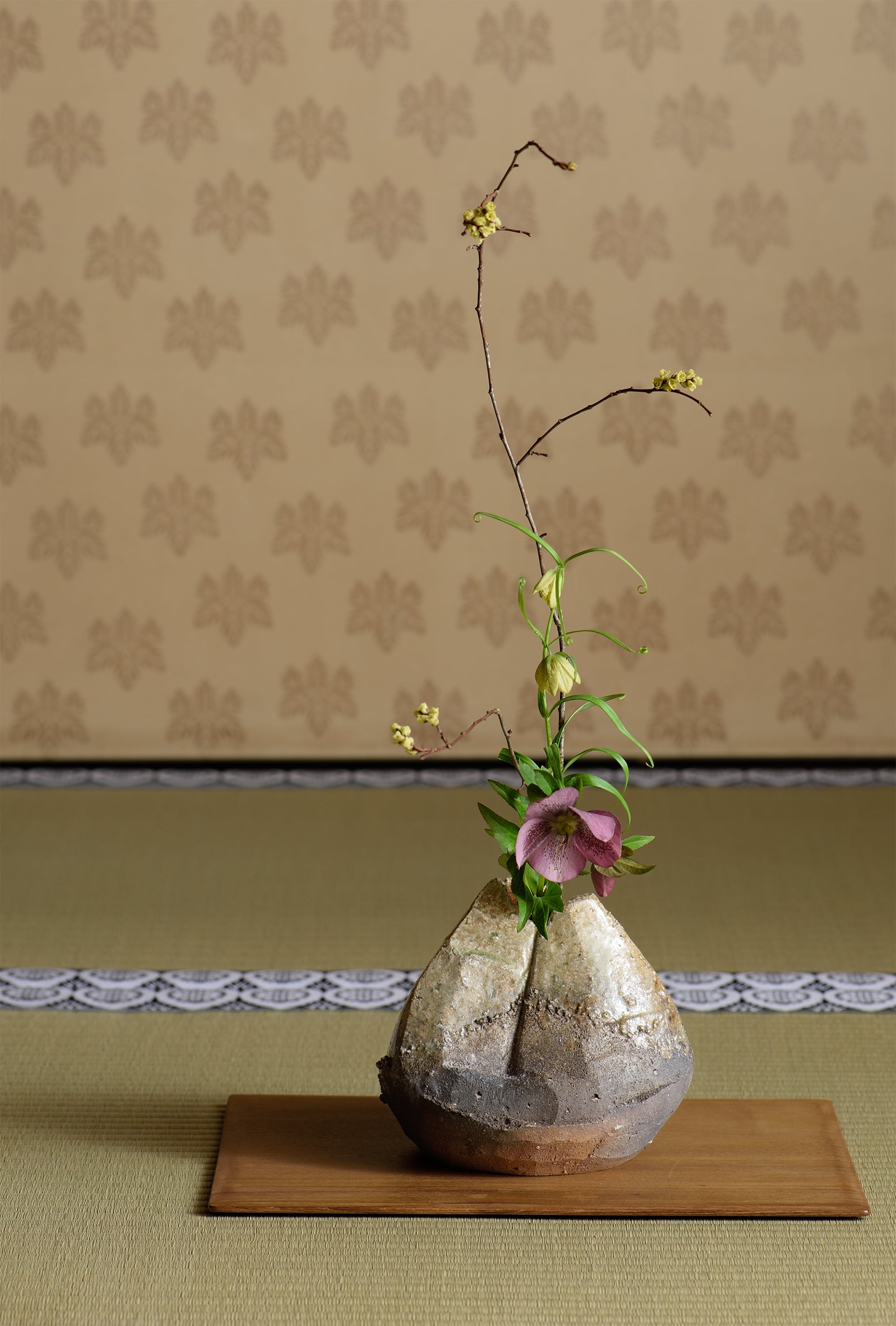淡斎茶花研究会 50周年記念　器と花の出合い展　令和5年5月25日(木)～5月30日(火)　柿傳ギャラリー