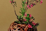 池田瓢阿・泰輔展