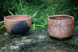 つじ　せいめい