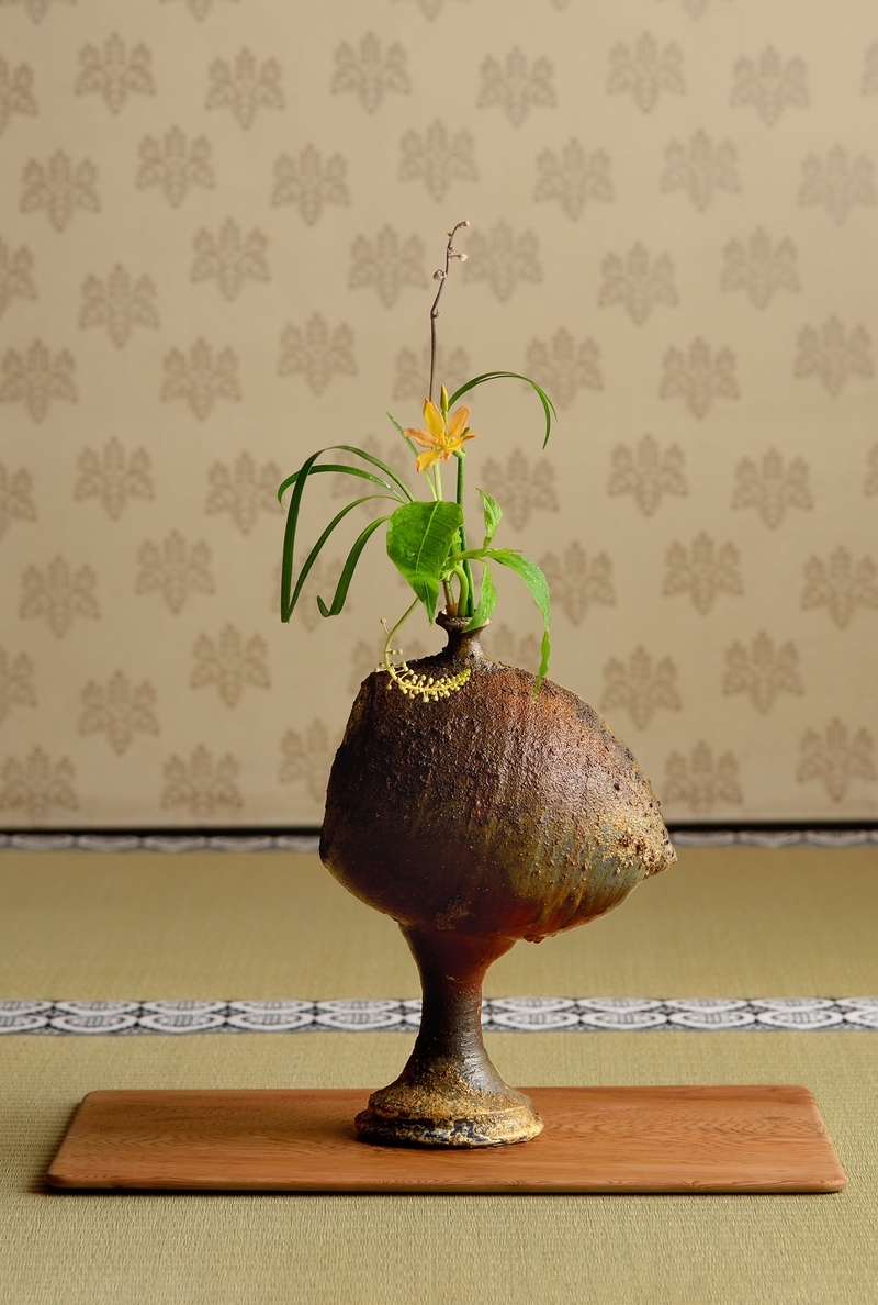 器と花の出合い展 ー挿花協力 淡斎茶花研究会ー【会場:当ビル6階