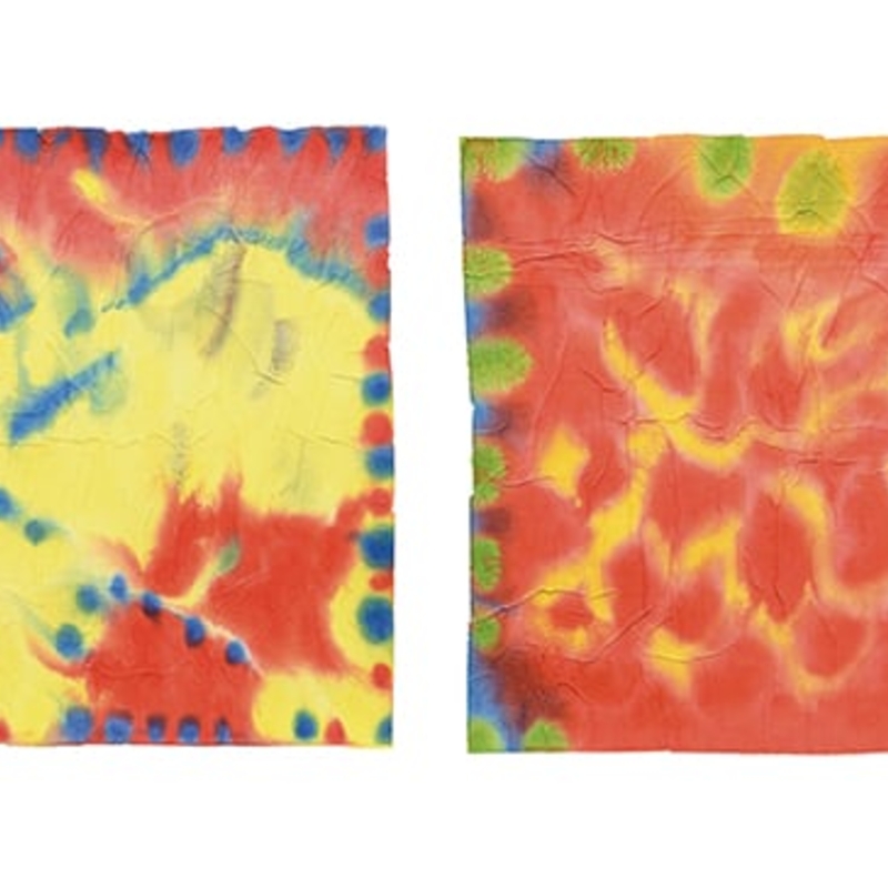 つじい　ふみお