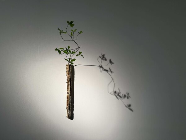 茶陶・伊賀六人展 －年々去来の花－　令和8年8月25日(火)～8月31日(月)／柿傳ギャラリー