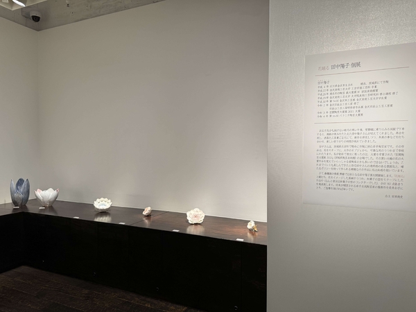 花踊る 田中陽子 個展　令和6年4月3日(水)～4月8日(月)／柿傳ギャラリー