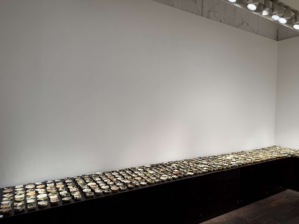 安洞雅彦 豆向付1000客 展 ー愛情出品 安藤友紀ー　令和8年2月10日(火)～2月15日(日)／柿傳ギャラリー