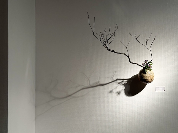 岩瀬健一 展 高麗茶碗に挑む　令和5年11月23日(木)～11月28日(火)　柿傳ギャラリー