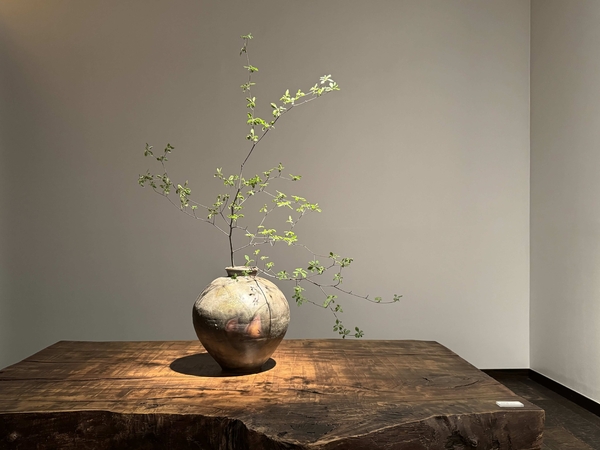 唐津 隆太窯 中里健太 陶展　令和6年4月20日(土)～4月25日(木)／柿傳ギャラリー