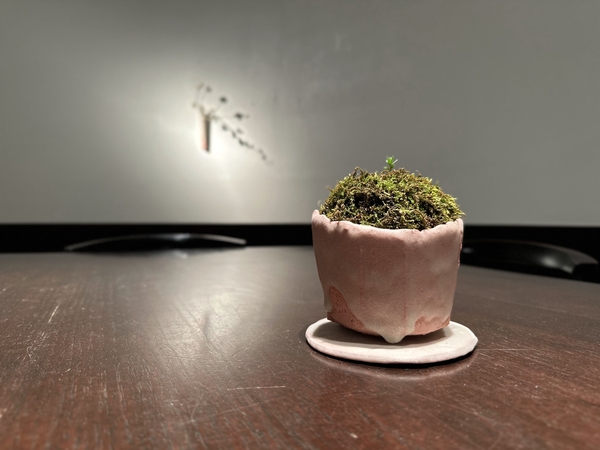 星野友幸 陶磁展 ーピンクと茶の湯と私ー 令和5年3月16日(木)～3月21日(火)／柿傳ギャラリー