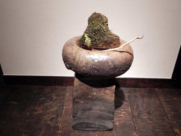 濱崎展 ⑤