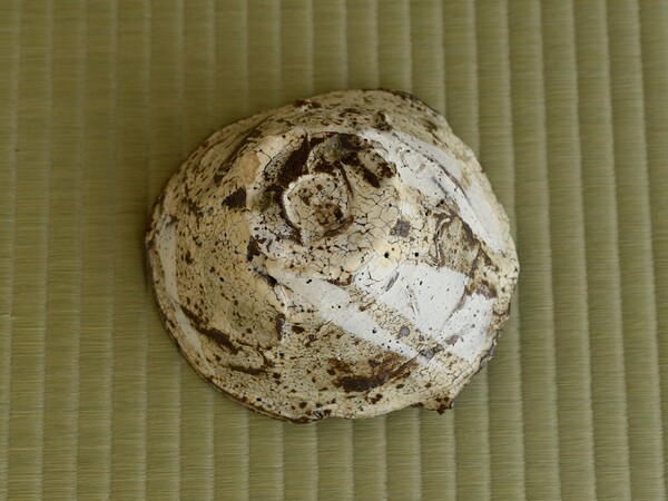 作品サムネイル