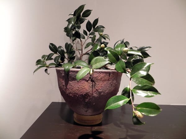 近藤展④