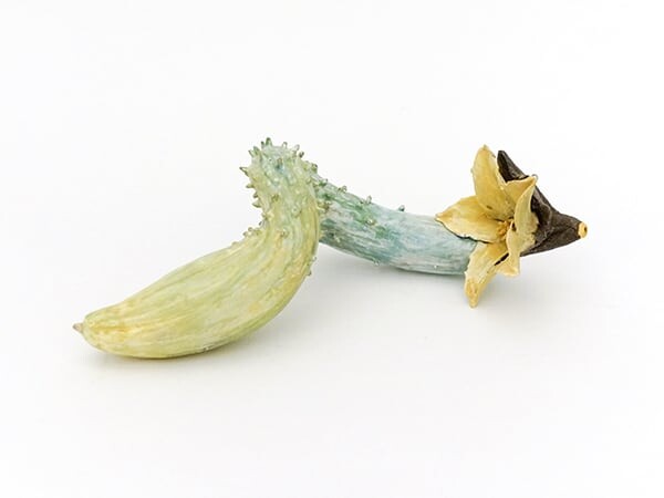 作品サムネイル