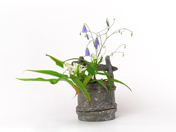 作品サムネイル