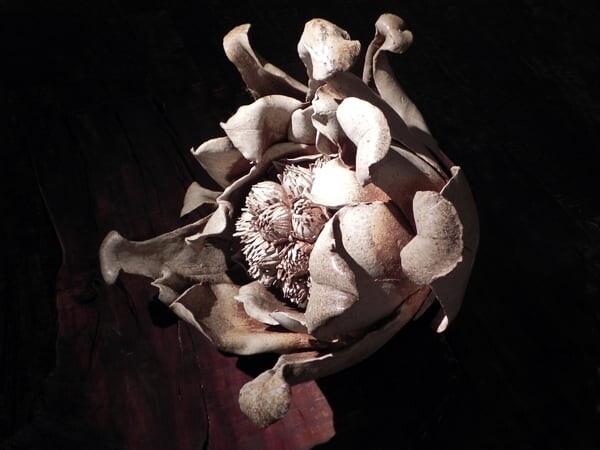 杉浦康益・裕子展  1