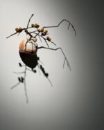 葉化石皿 (杉浦康益 作) 葉化石皿 (杉浦康益 作) 陶芸 オブジェ