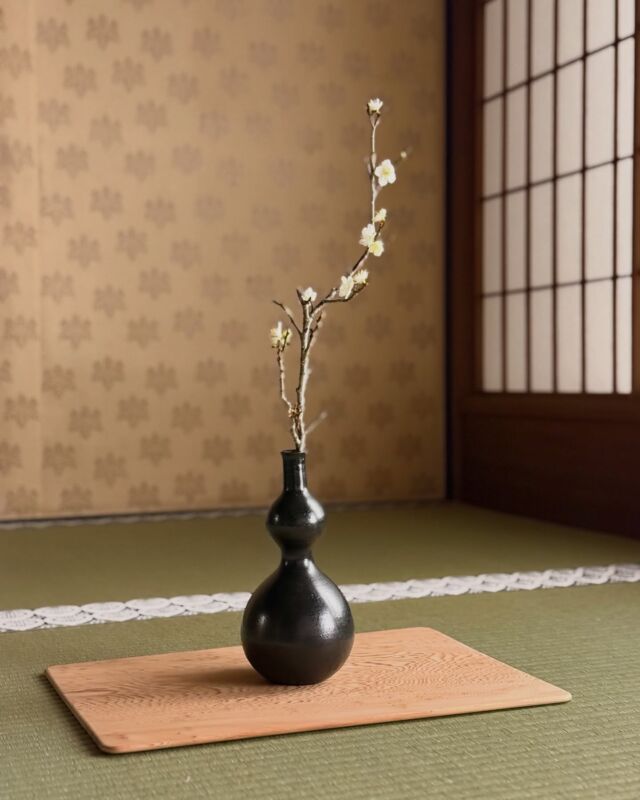 萩焼 新庄助右衛門窯 十四代 新庄 貞嗣 展 | 柿傳ギャラリー