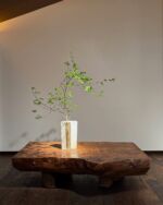 杉山 寧 [近代日本画] 加山哲也 [陶芸] 二人展 | 柿傳ギャラリー