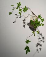 花のうつわ 花器とオブジェ 第65回 日本陶磁協会賞 歴代受賞作家展