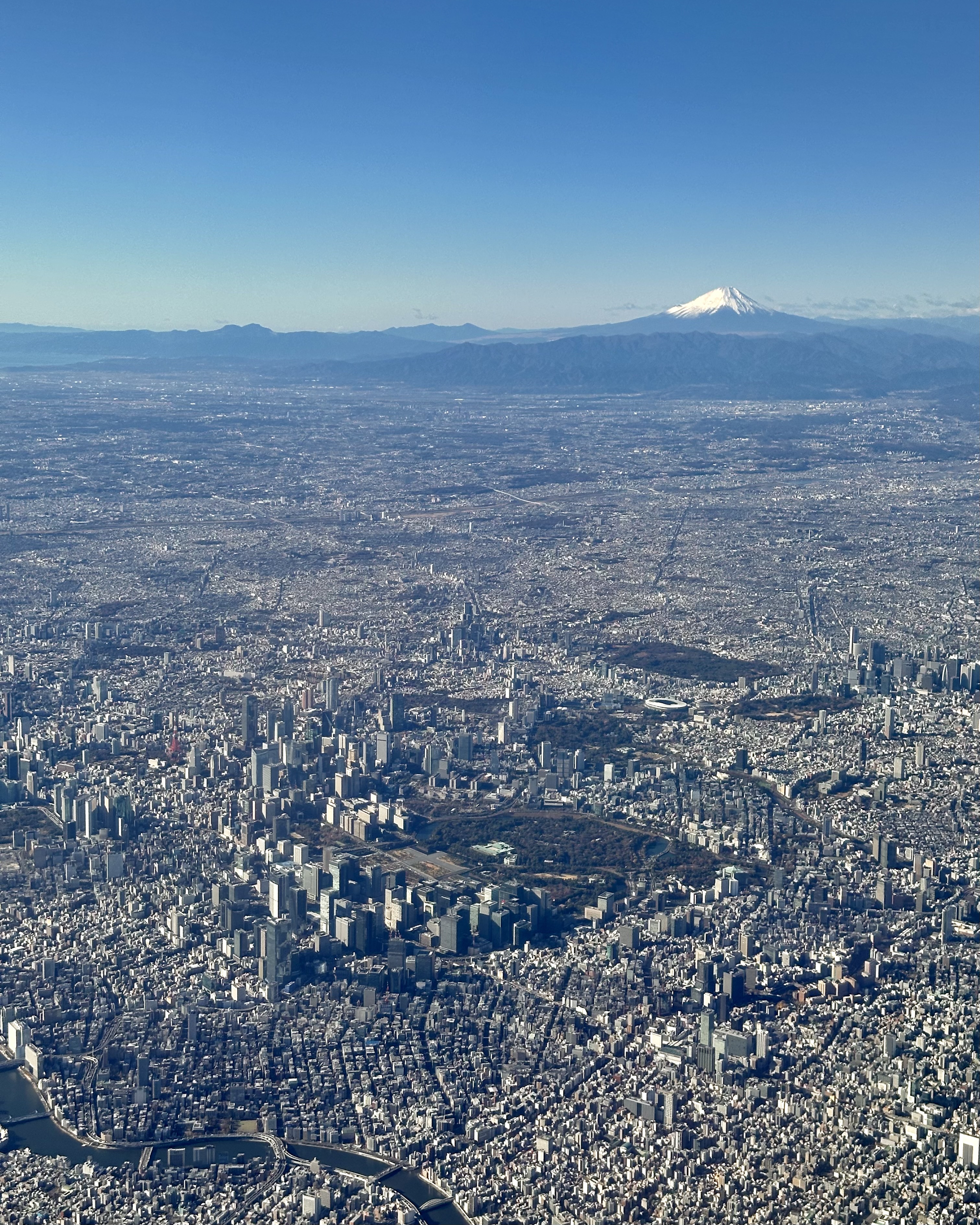 立春大吉 初売り謝恩祭　令和7年1月6日(火)～1月11日(日)／柿傳ギャラリー